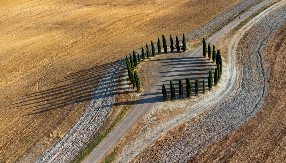Not an easy task to take photos in Toscana, Italy, as every square centimeter is a beauty. You just have to wake early morning or wait until late afternoon for the golden hours. This place is a "forest-like" sundial.At least in my imagination.