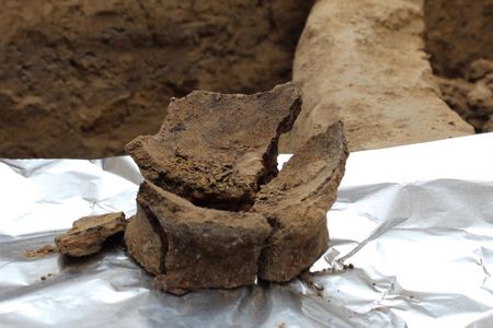 This is base of Neolithic jar being prepared for sampling for residue analysis.