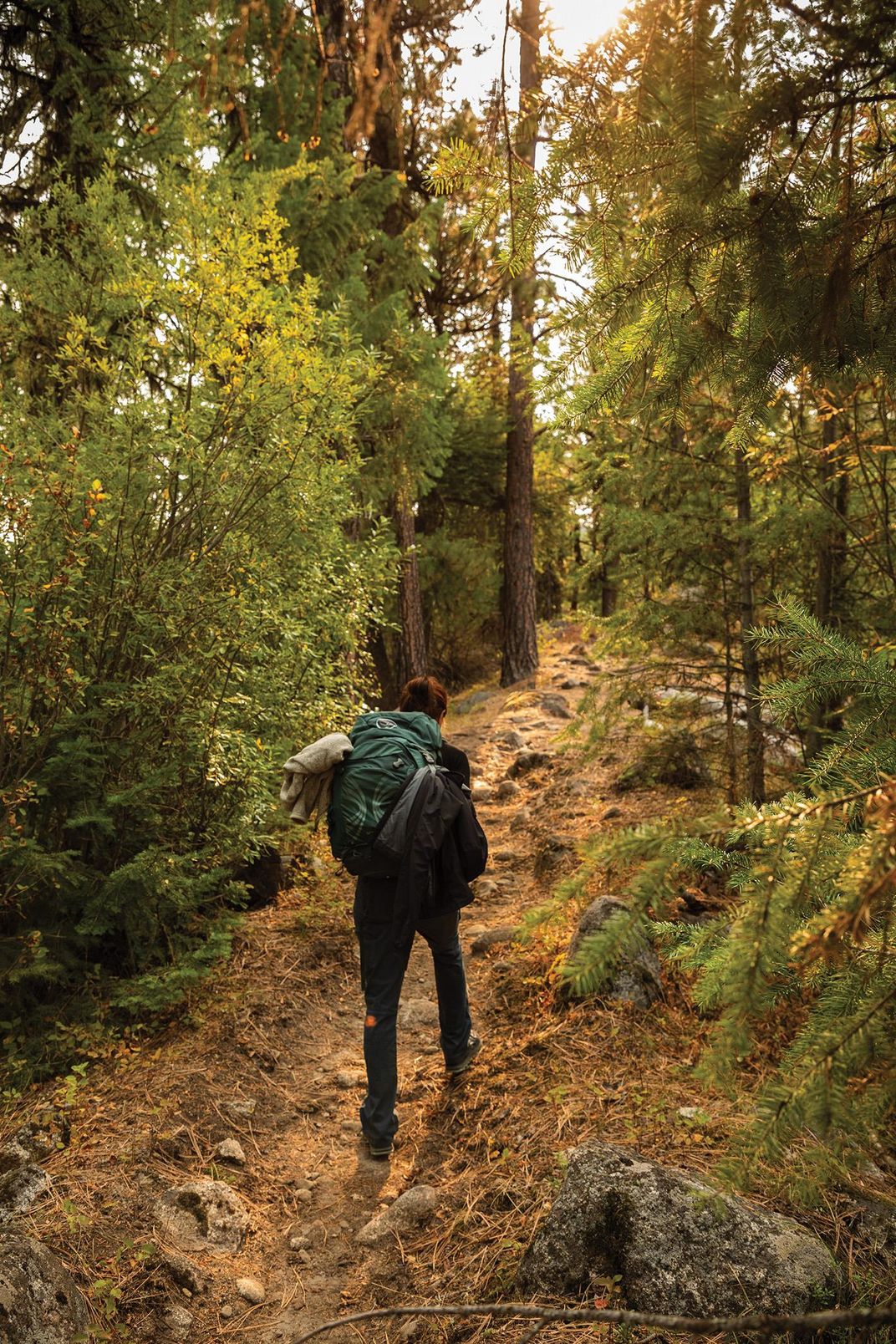 A trekker on the trail to Backbone Ridge 