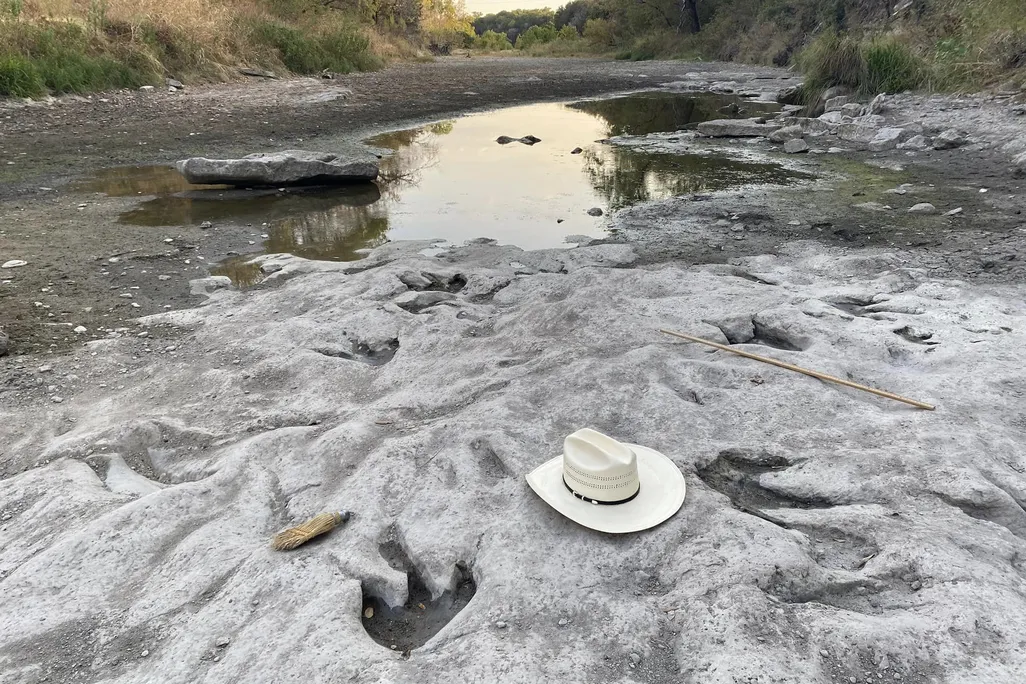Dinosaur tracks next to cowboy hat by a dried up river