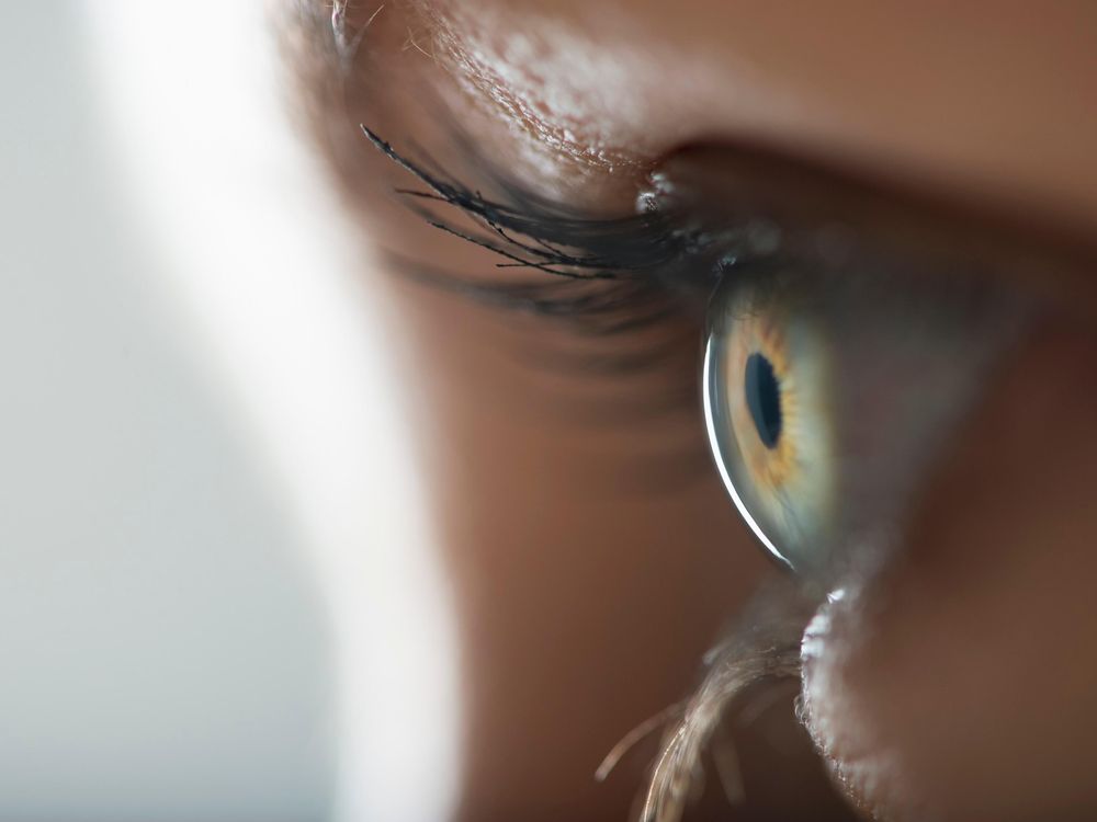 You Don't Even Want to Know About All the Stuff Living on Your Eyeball, Smart News