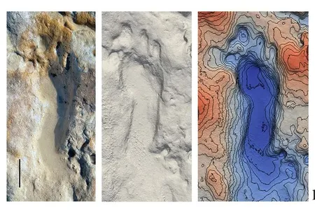 Researchers discovered 87 Neanderthal footprints, as well as a number of tracks left by prehistoric animals.