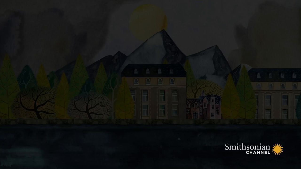 Preview thumbnail for The Secret World of Animal Sleep: Asleep on the Wing