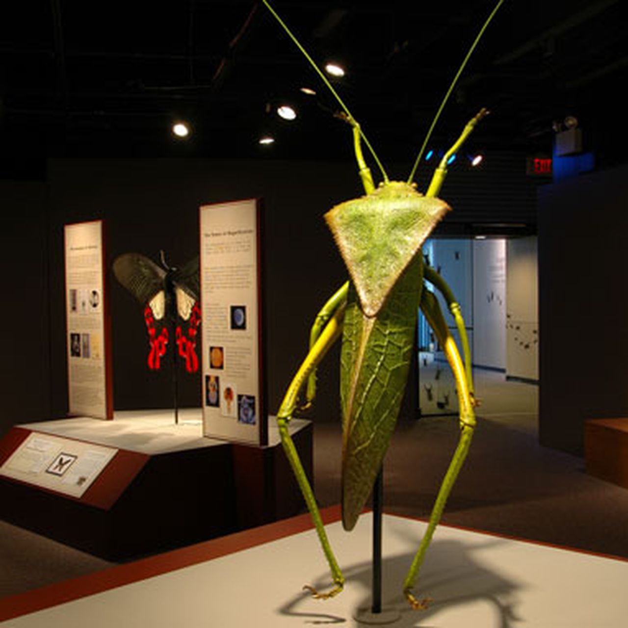 Honey, I Blew Up the Bugs