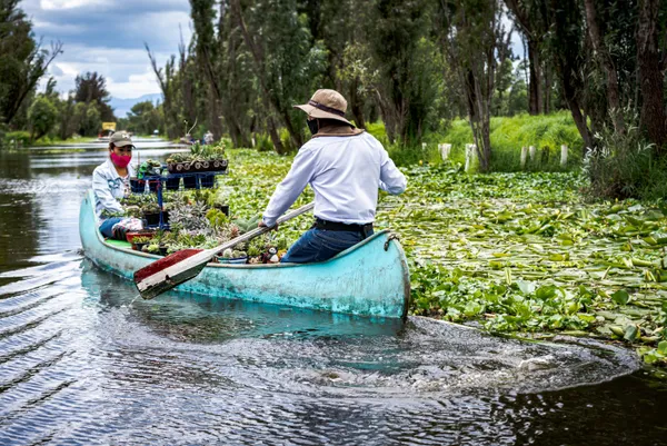Canoeists selling plants in Xochimilco thumbnail