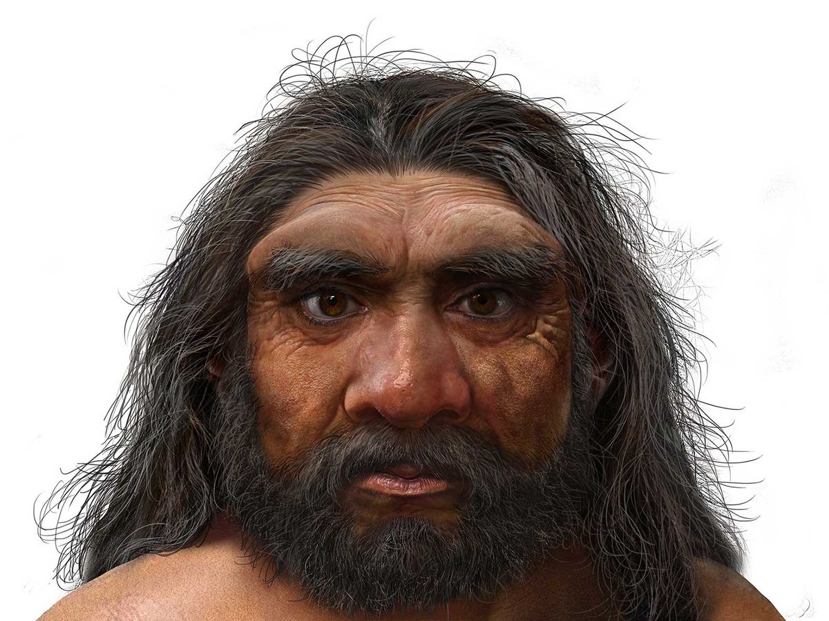 Earliest Fossil Of Prehistoric Man