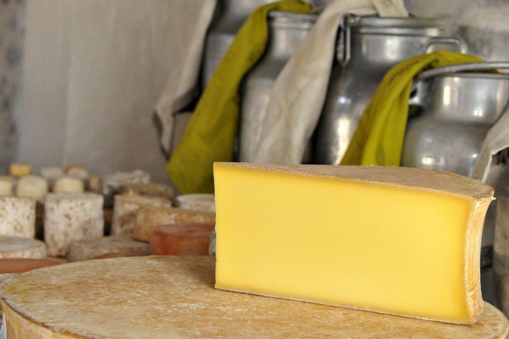 Beaufort cheese