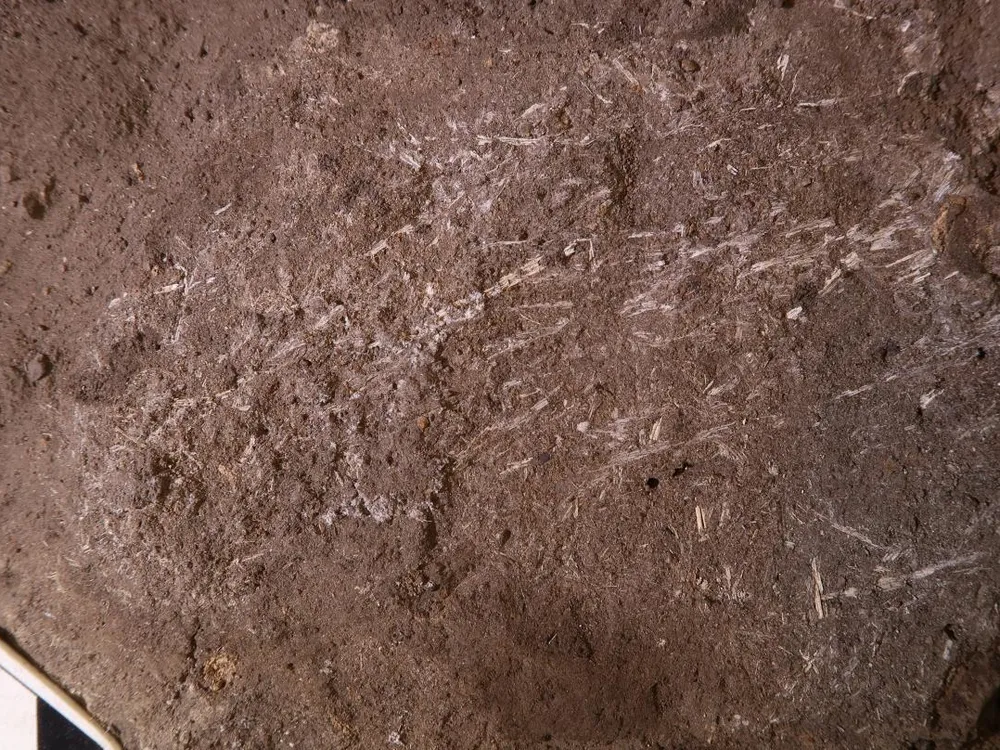 200,000-year-old bedding