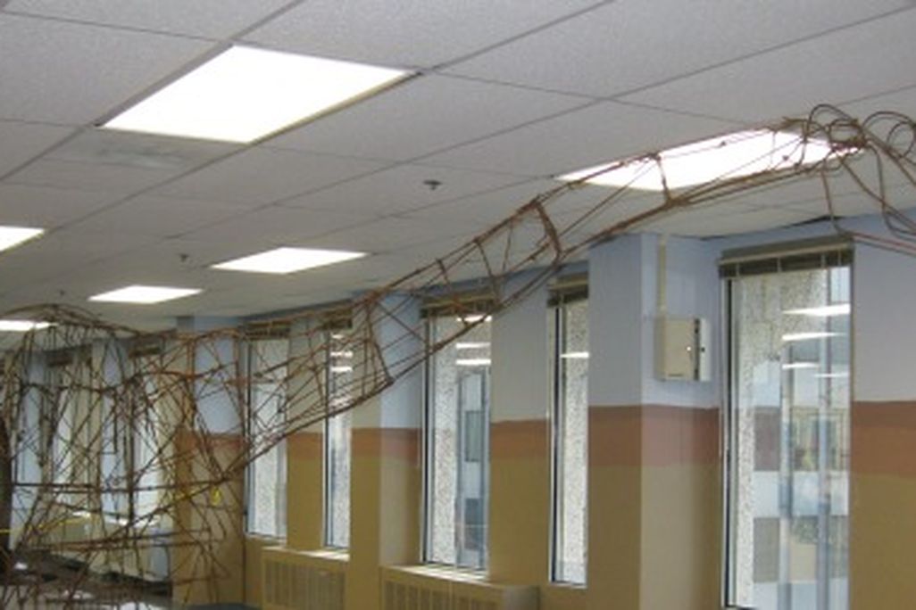 Roger Cutler's wire Apatosaurus