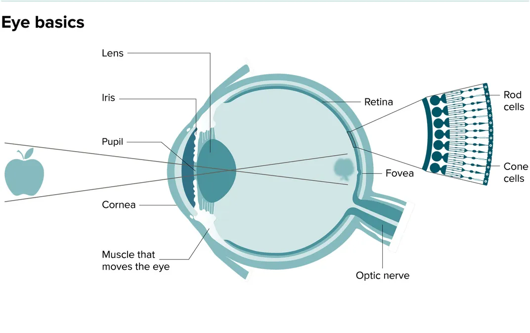 Eye Diagram
