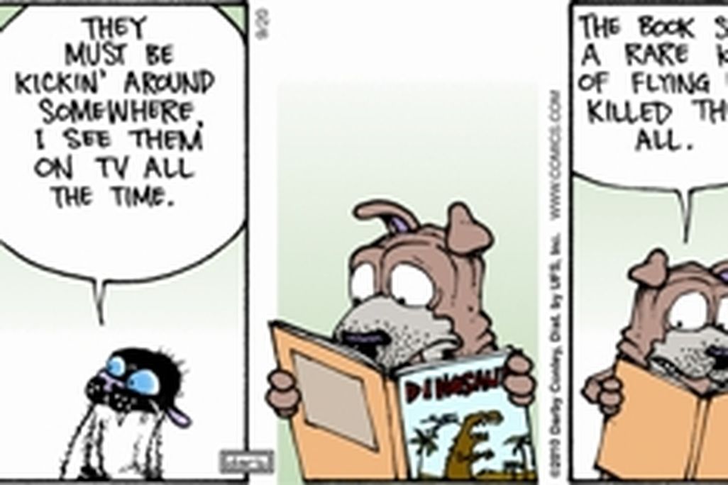 20110520083240Get-Fuzzy-Extinction.jpg