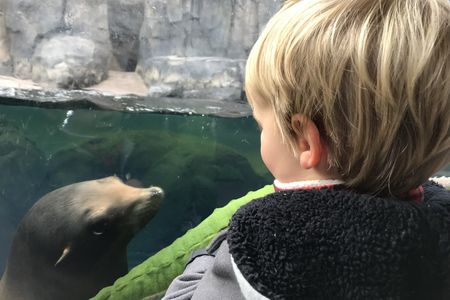 Activities that give young children the opportunity to build meaningful, personal connections with animals can be the spark for a lifelong love of wildlife and cultivate a lasting conservation ethic.