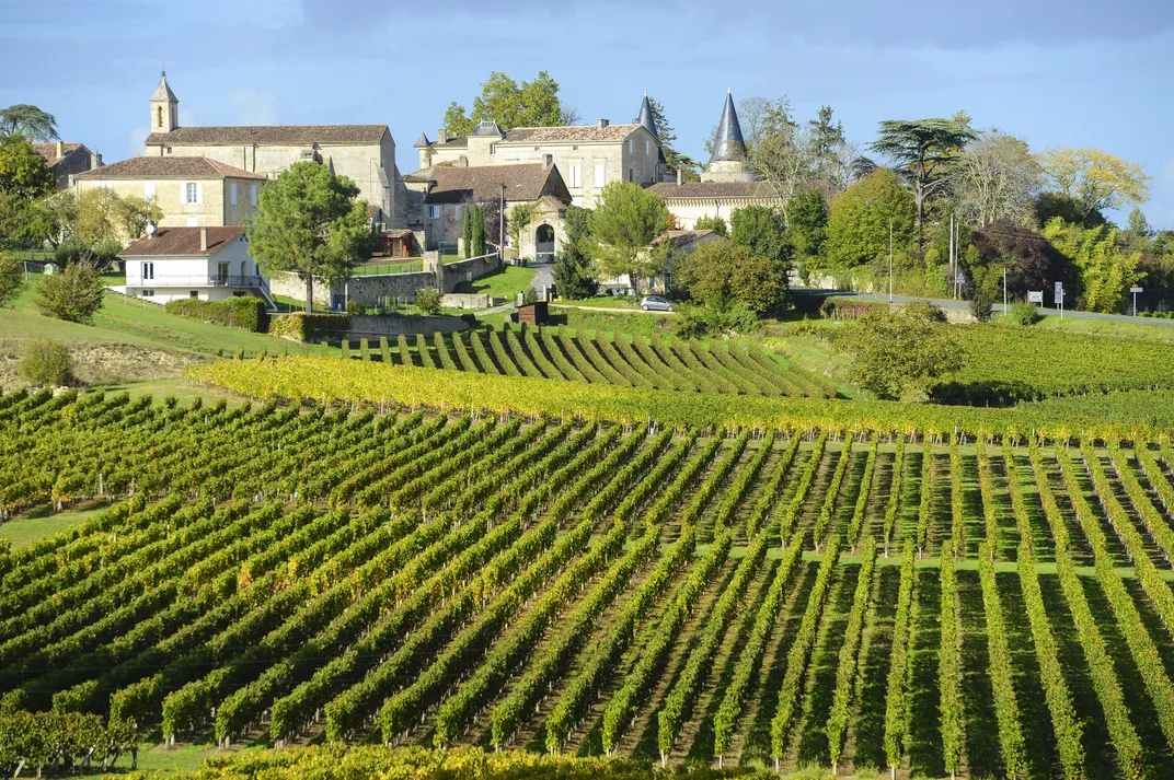 Vineyard near Saint Émilion