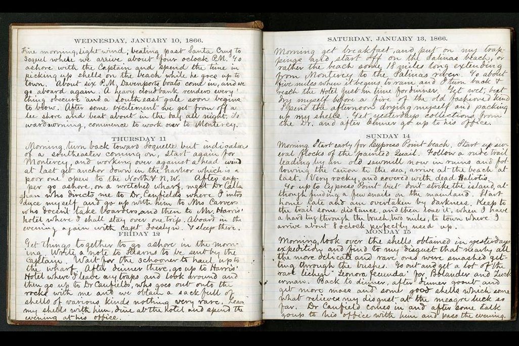 William Dall Diary Page