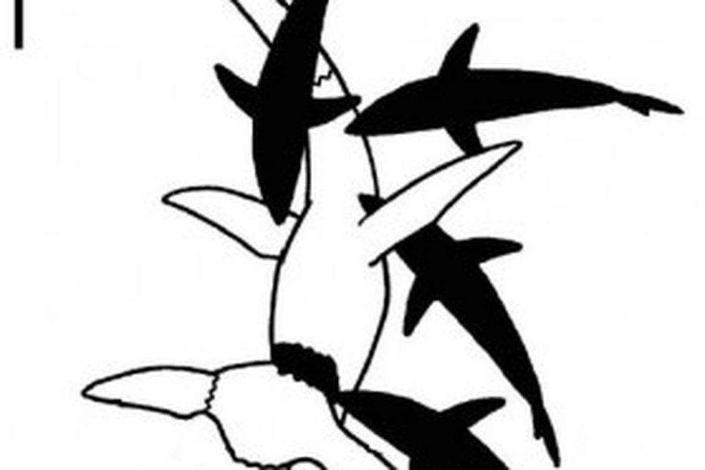 20110520083223Shark-Bites-279x300.jpg