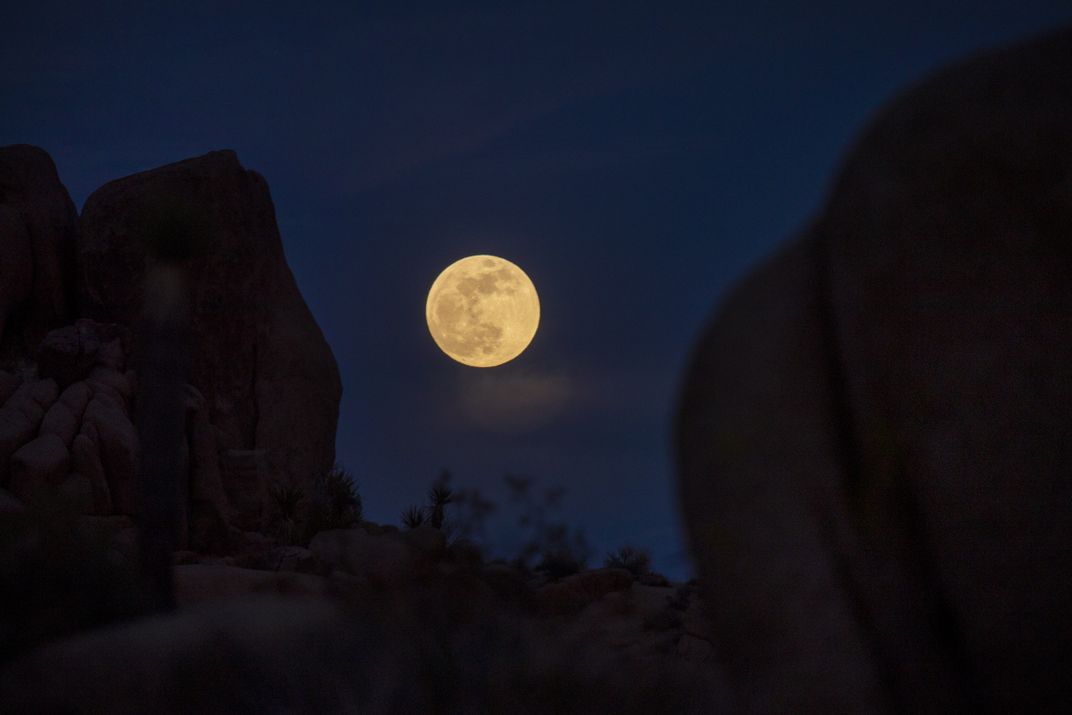 A yellowish, huge moon rises over a dark navy sky and craggy rocks