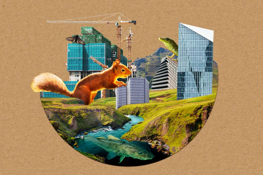 Animals That Evolve Due to Humans Illustration