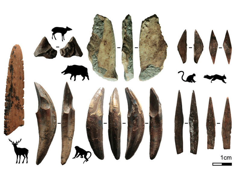 Bone tools found in Sri Lankan cave