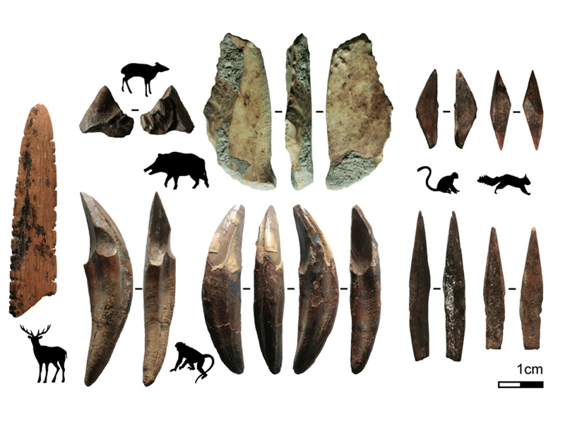 neanderthals hunting tools