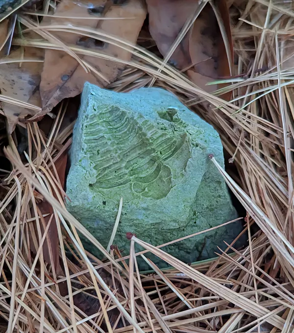 Once upon a time thumbnail