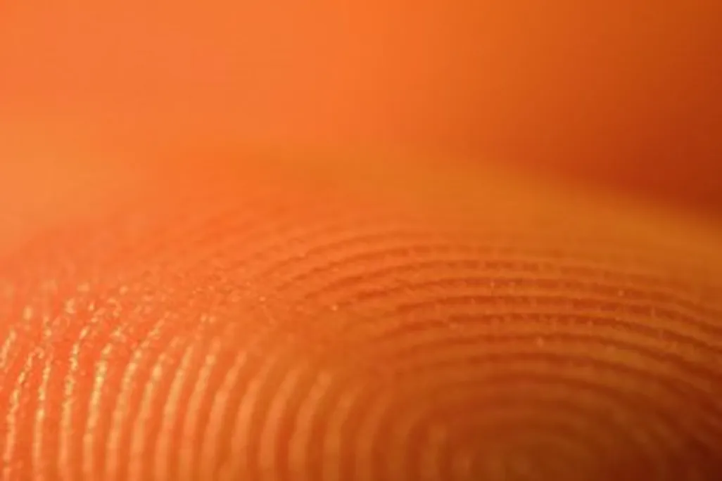20110520104112fingerprint-300x225.jpg