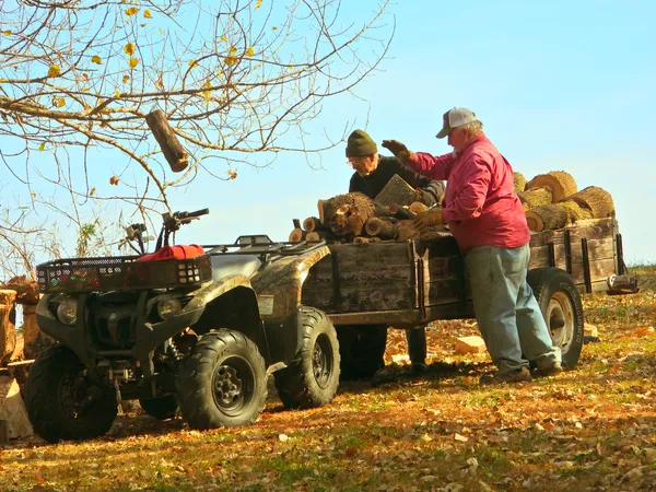 A Load of Firewood thumbnail