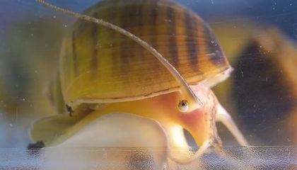 Eight Fascinating Scientific Discoveries From 2025 That Could Lead to New Inventions