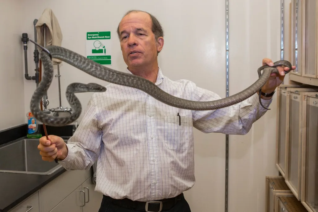 A man holding a snake