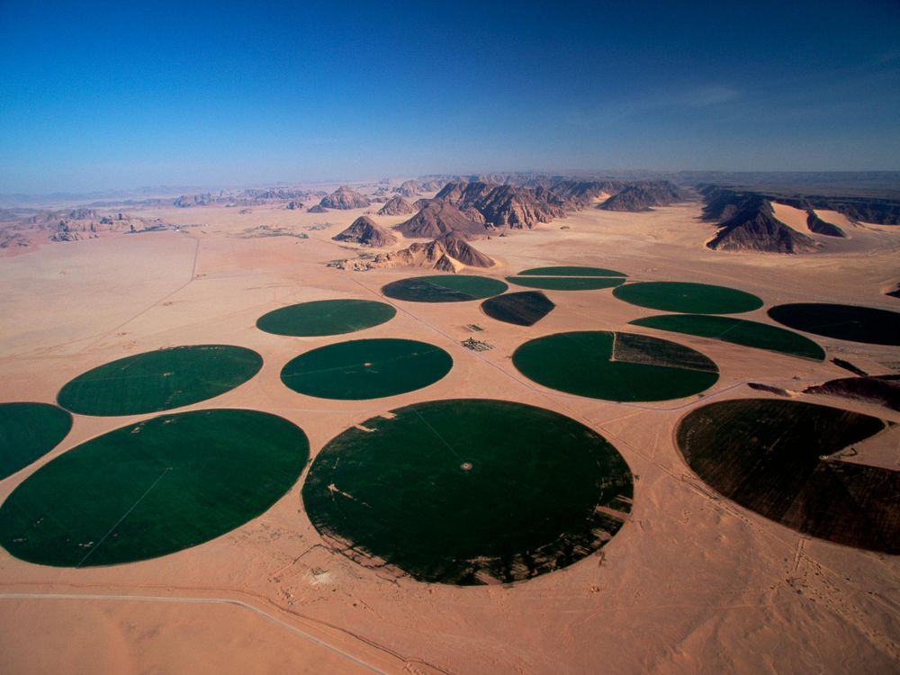 Crops Growing in the Desert