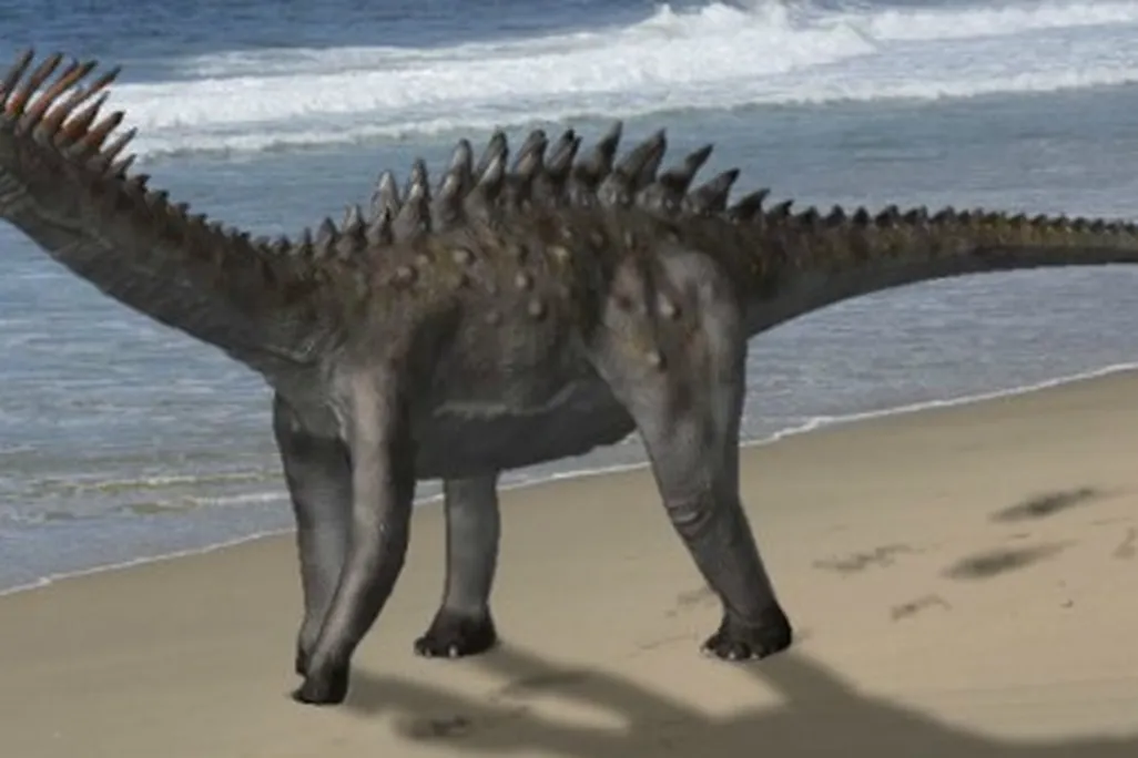 A speculative restoration of the armored sauropod Agustinia
