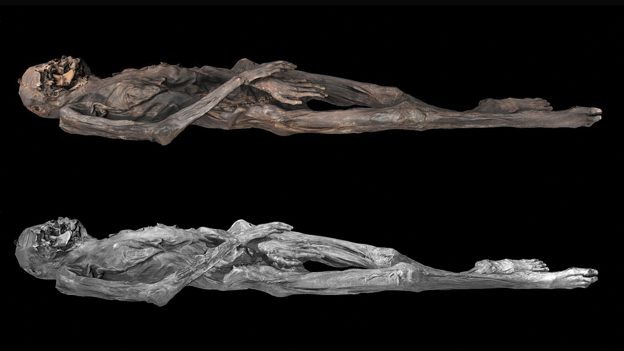 Sam Flores' Artwork is Beautiful and Haunting, image size:1280x720