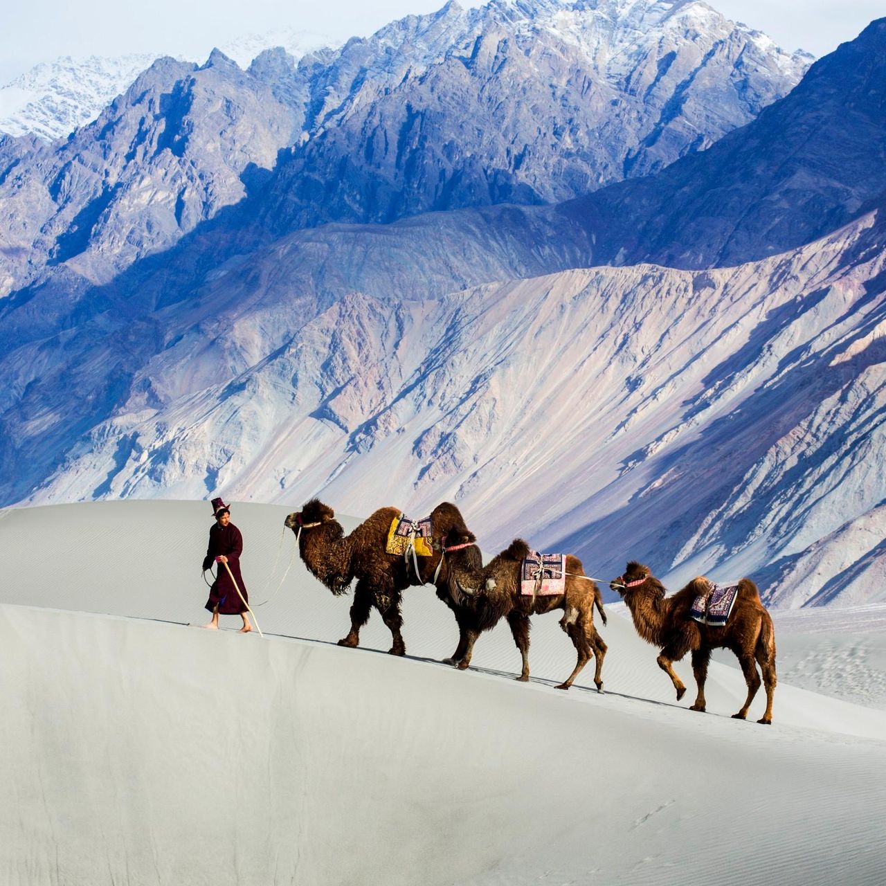 The Silk Road Never Really Existed