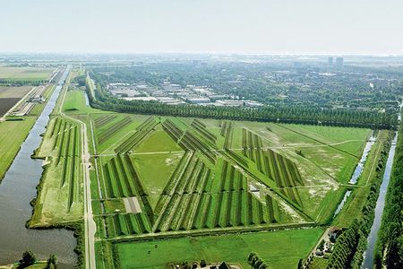 Maze-like landscaping has cut the decibel level of the ambient noise at Amsterdam's Schiphol Airport in half.