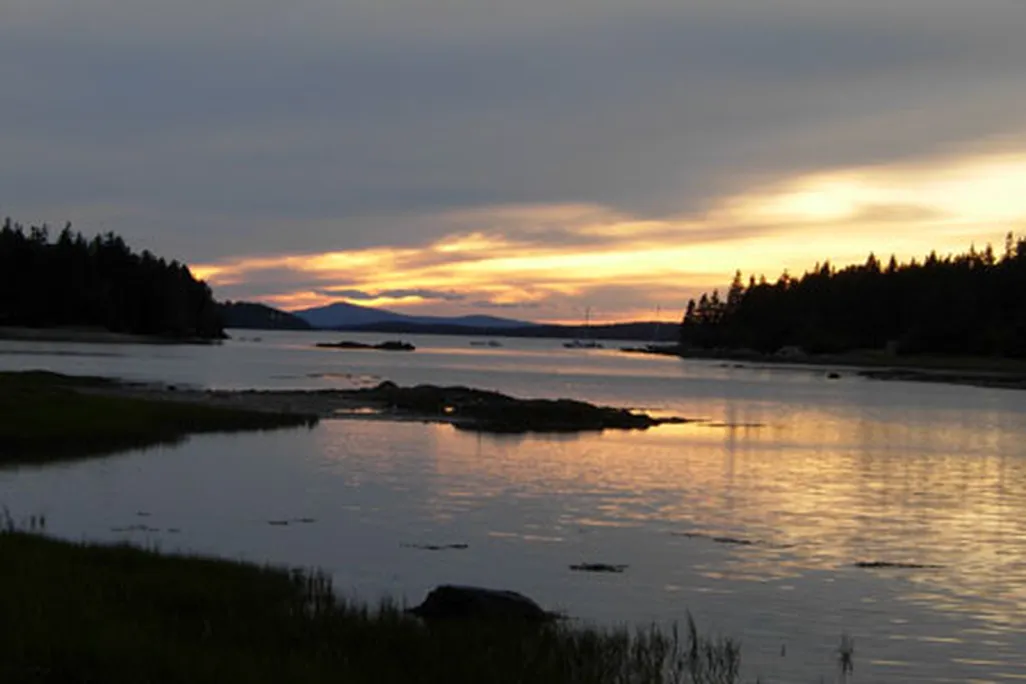 Sylvester Cove