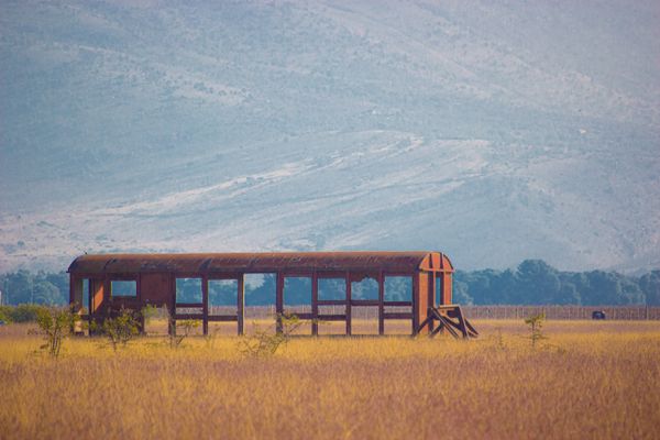 An Old Abandoned Wagon in a Savannah-like Field thumbnail