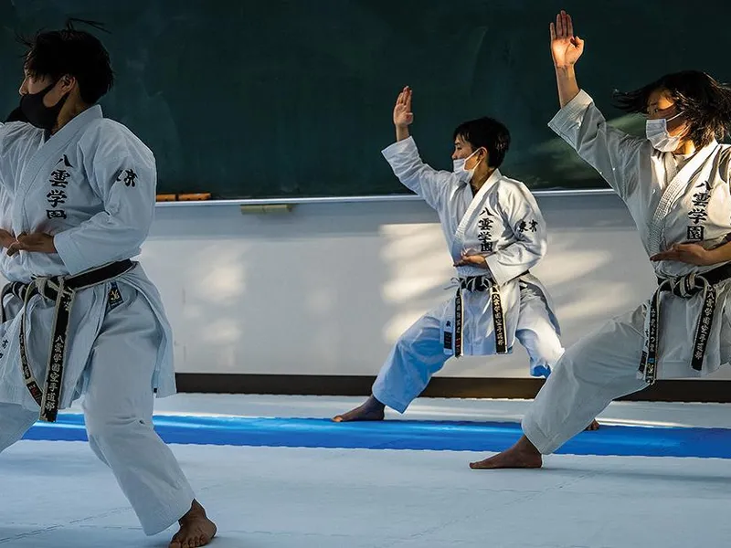 The Centuries-Old Sport of Karate Finally Gets Its Due at the Olympics, Arts & Culture