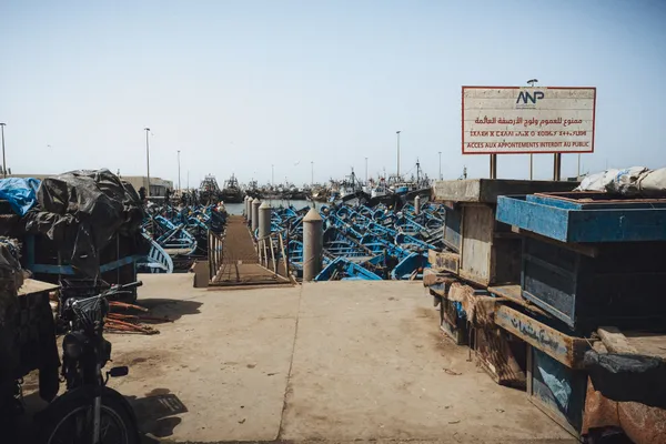 Fishing Port's Vibrant Pulse in Morocco thumbnail