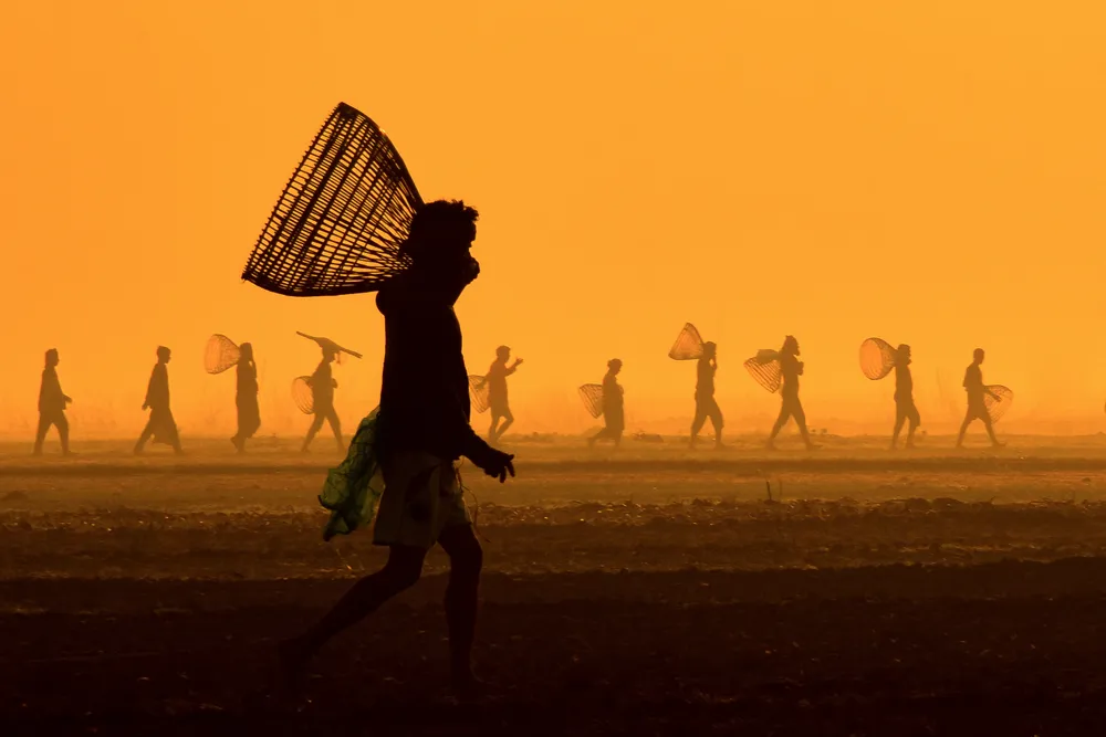 Polo is the traditional fishing festival of Bangladesh. This festival is celebrated every year in different Haor, Bill areas of Bangladesh. Thousands of people from numerous villages of Dur Durant participate in fishing. A special vehicle used for fishing is called a polo. Early in the morning, people from far and wide walk in rows to catch fish.