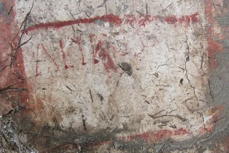 This painted campaign inscription suggests the home where it was found belonged to one of the candidate's friends or supporters.