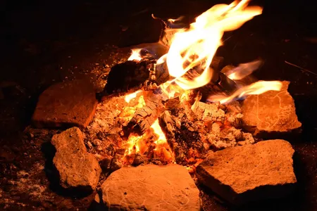 Replica plaquettes were placed next to a fire to see how ambient light made stone carvings of animals appear to move.