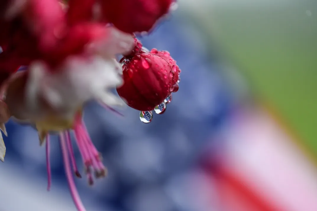 2 - An American flag is reflected in raindrops dangling from a fuchsia flower.