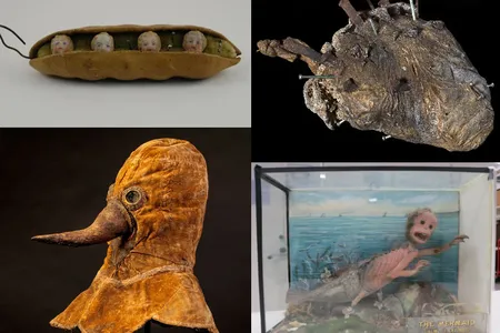 Submissions included a plague mask, a Feejee "mermaid" and a peapod pincushion.
