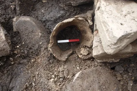 Researchers debate whether Iron Age Scots hunted the massive fin whales or simply made the most of animals swept ashore.