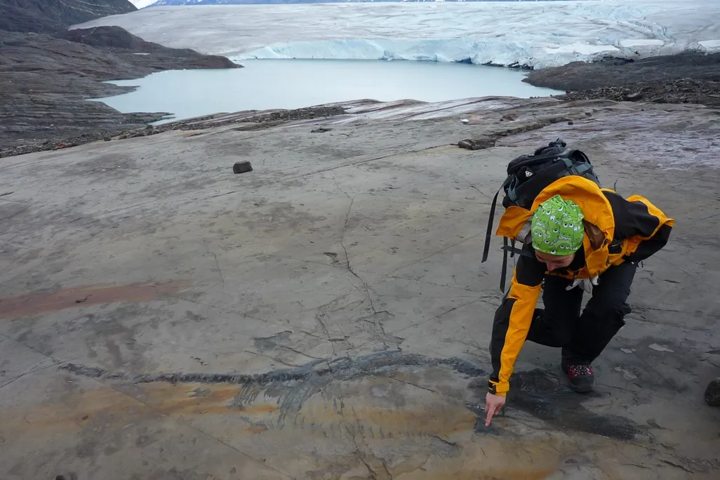 a woman pointing to an outline of a fossil in the ground