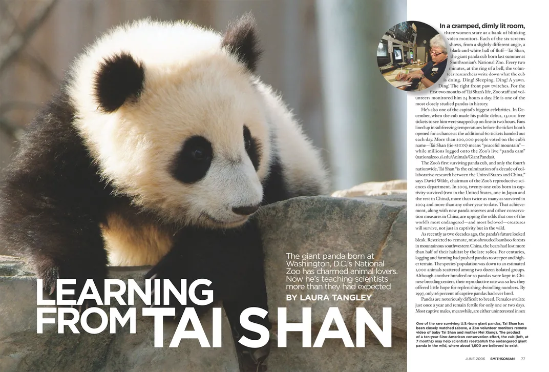 Pages from a June 2006 Smithsonian ​​​​​​​article about Tai Shan