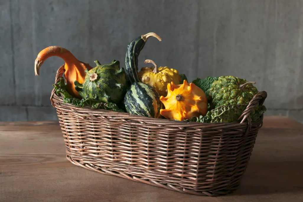 Gourds