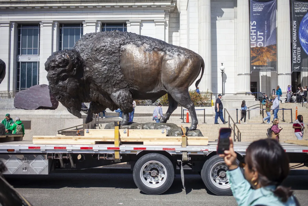 See the 2,500-Pound Bronze Bison as They Arrive at Their New, Permanent Place at the Smithsonian’s National Museum of Natural History