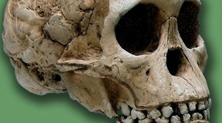 The Taung Child was killed by an eagle about three million years ago.