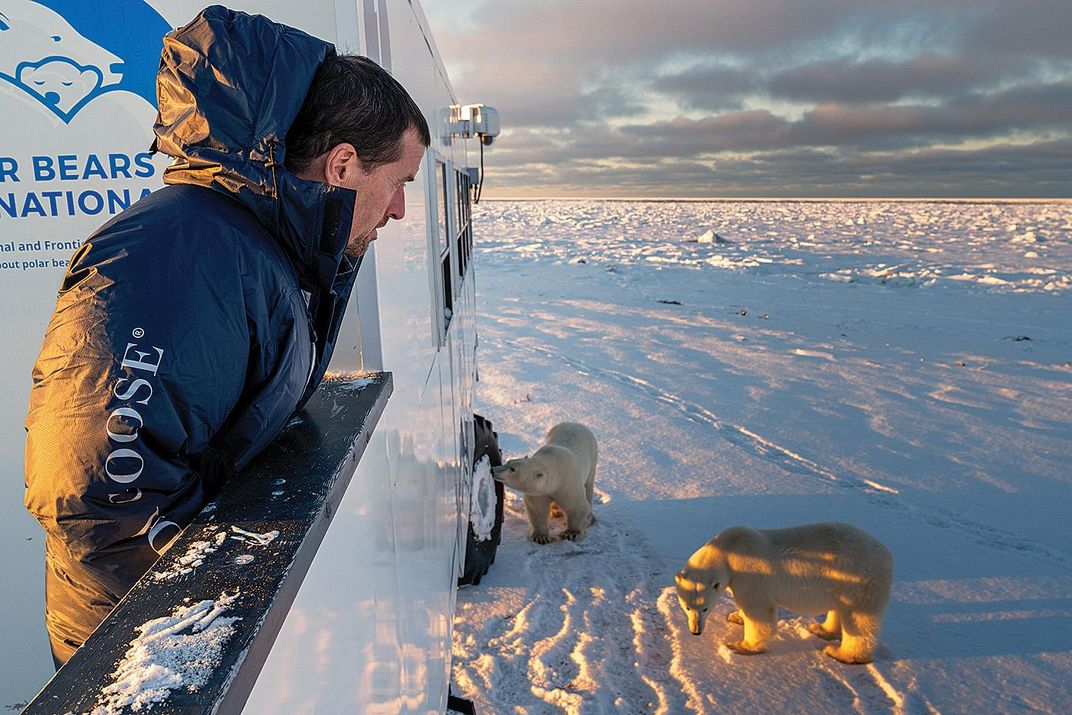 Here's how polar bears might get traction on snow