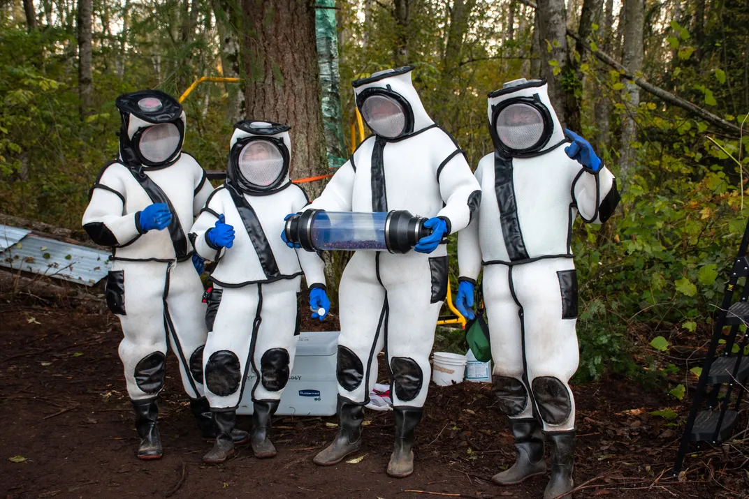 Suits worn while collecting first nest